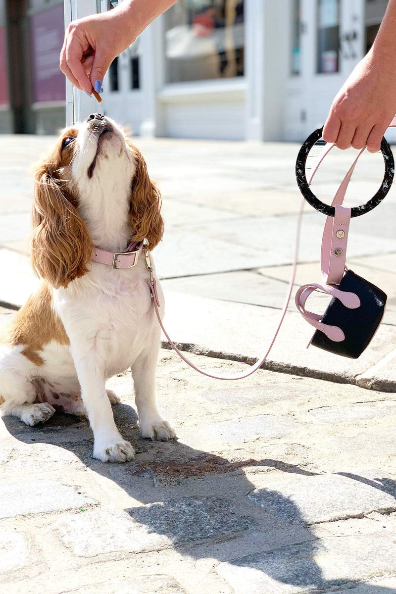 Blush pink stylish dog accessories. 