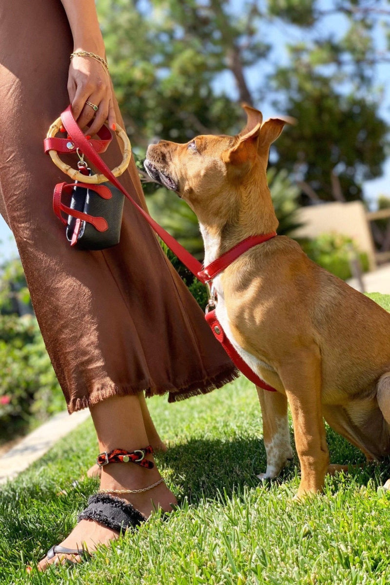 Ruby red, durable pet accessories.