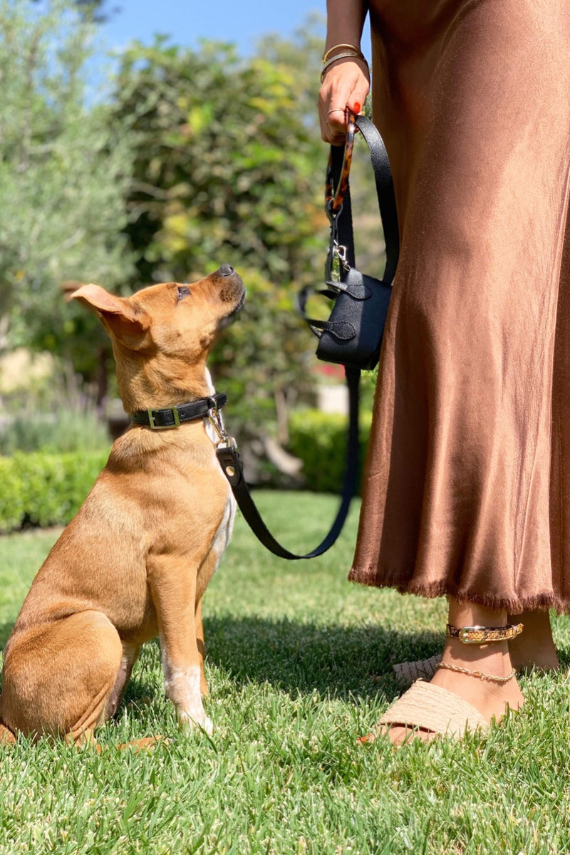 Luxury dog leash and accessories in vegan canvas.