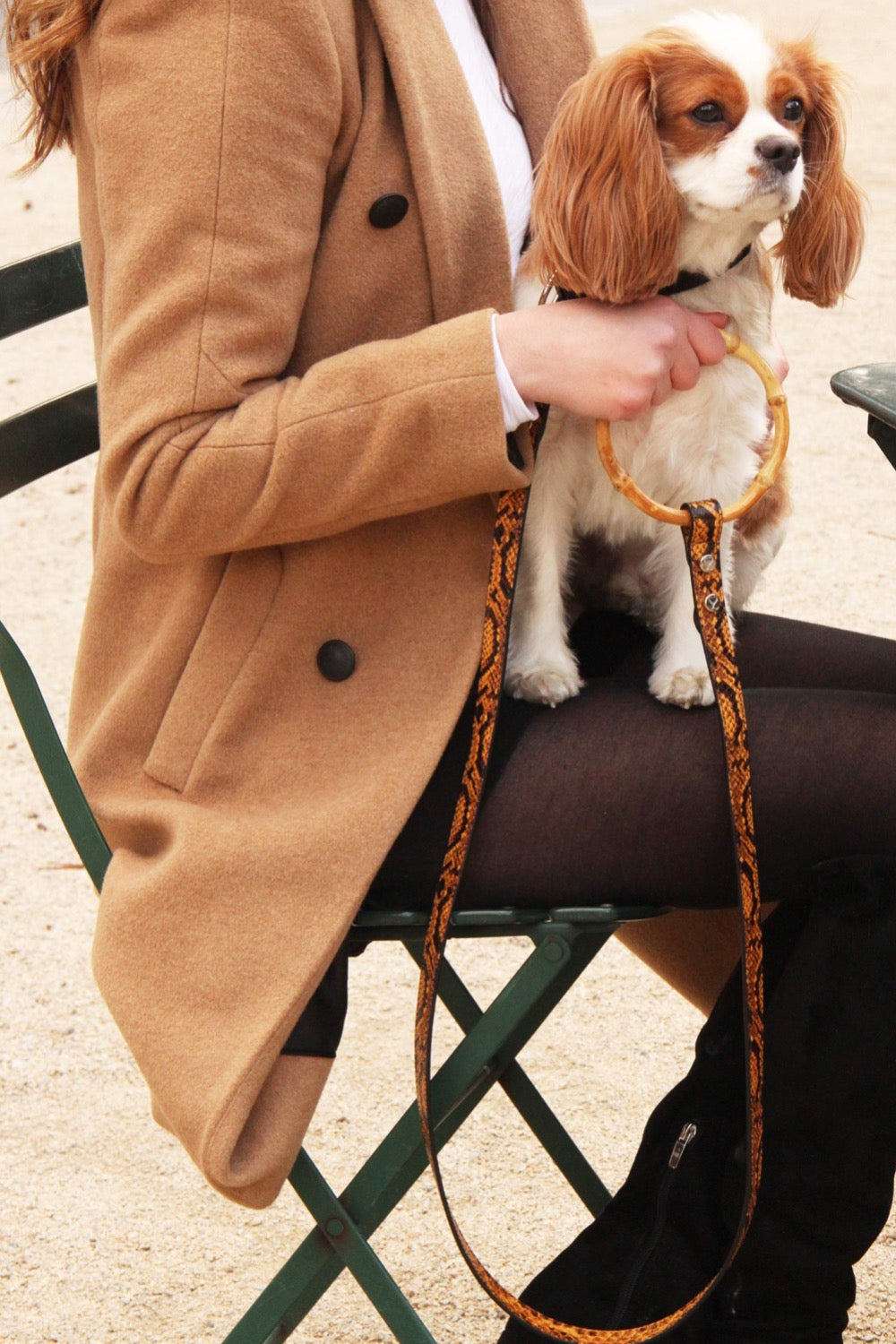 Sasha Leash with bamboo handle on a dog during a walk